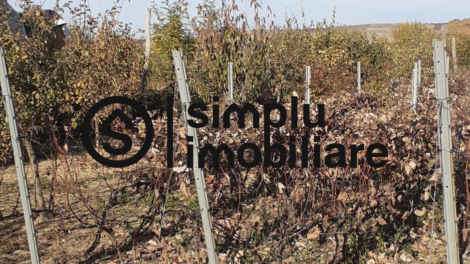 Casa Bradesti, teren 1239 mp - 29 995 Euro - Poză 5