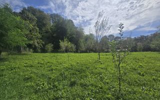 Oportunitate de investiție în Breaza – teren intravilan de 3.591 mp - Poză 8