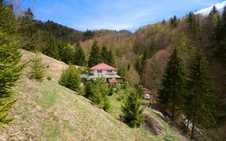 Casa de vacanta sau pensiune in Dâmbovicioara 5 camere, 5 bai, 6412 mp teren - Poză 2