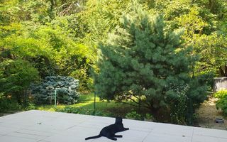 Vanzare vila 5 camere | Langa padure | Bucuresti | Baneasa - Poză 3