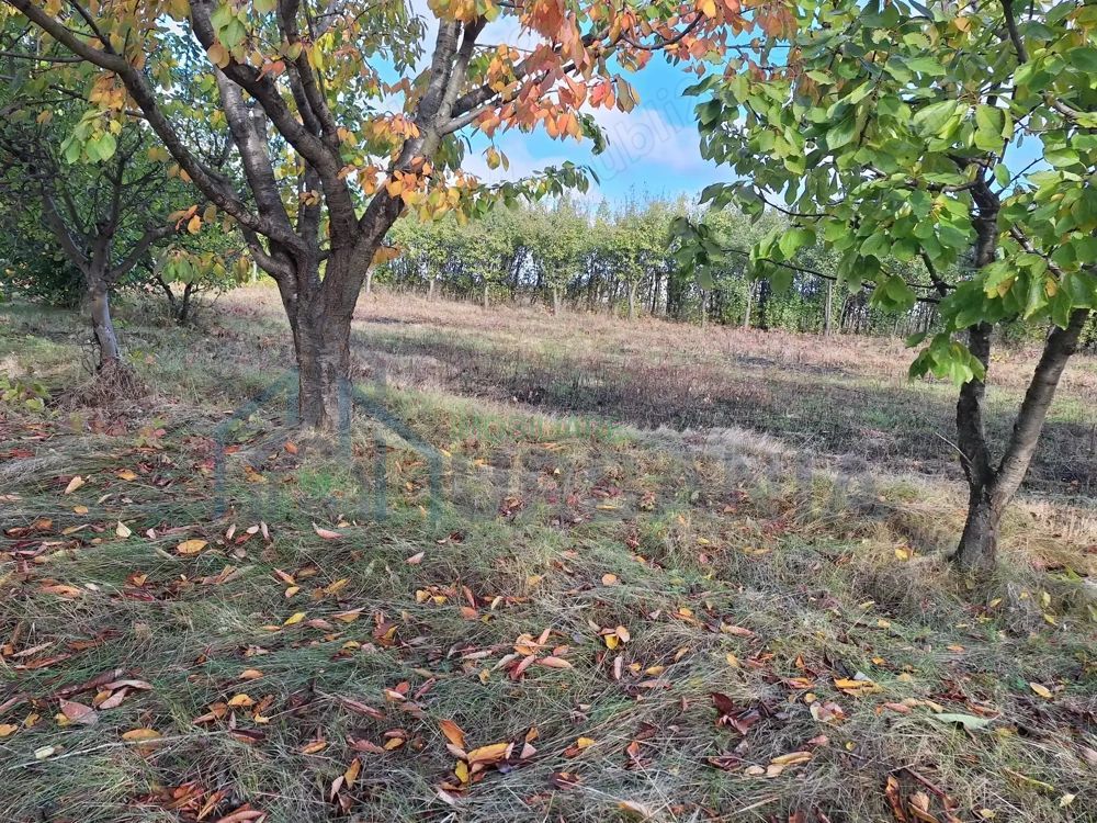 Vând Teren Horlesti-Rediu - Poză 4