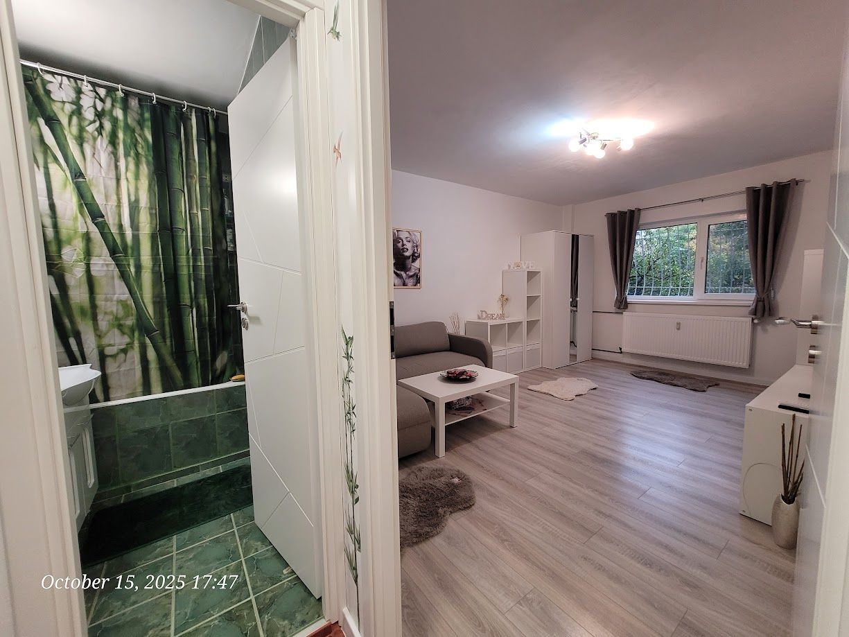 GARSONIERA ELEGANTA ZONA TINERETULUI - Poză 3