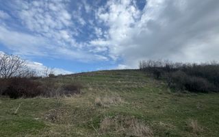 Teren 10262 mp extravilan Episcopia Oradea - Poză 3