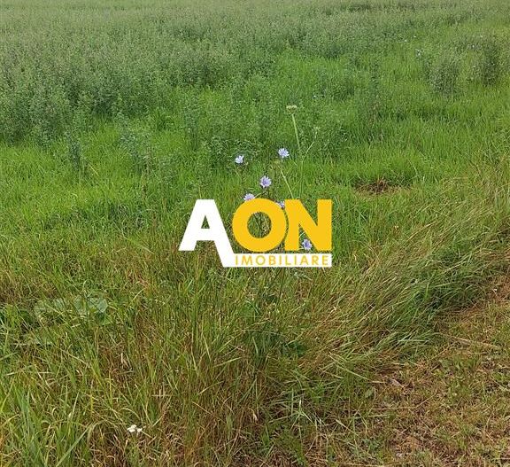 Teren pentru P+2 Alba-Micesti 3636 mp - Poză 3