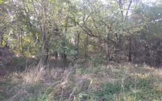 Teren de vânzare în Dascalu, judet Bucuresti Ilfov - Poză 13