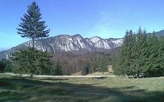 Teren Predeal - Poză 1