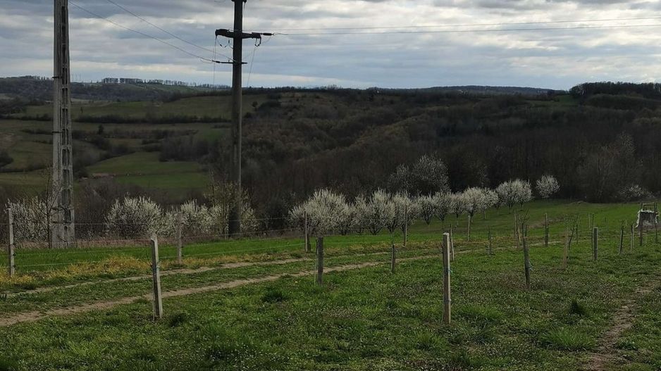 Teren cu o priveliste superba langa padure - Poză 5