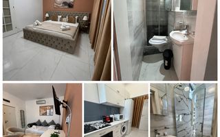 Apartamente de inchiriat zona Tineretului - Parcul Carol - Poză 4