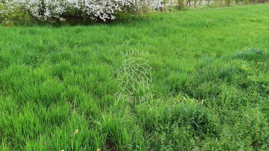 Teren intravilan 2515 mp cu utilitati- Zona Valea Castailor - Poză 3