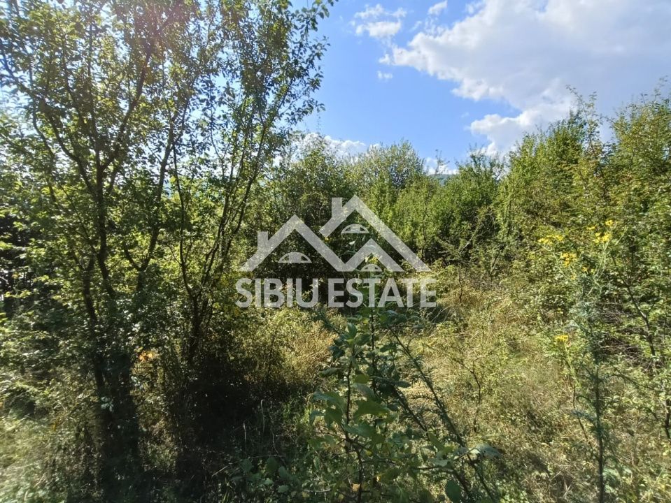 Teren  construibil ,la sosea, intre Vale si Sibiel, zona cu potential - Poză 8