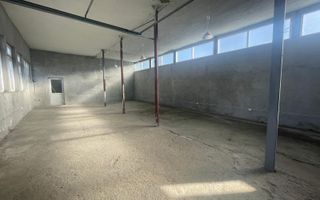 HALĂ DE ÎNCHIRIAT – IDEALĂ PENTRU DEPOZITARE, PRODUCȚIE SAU ACTIVITĂȚI ECONOMICE - Poză 6