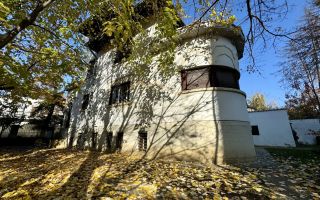 Casa de închiriat zona Kiseleff - Poză 8