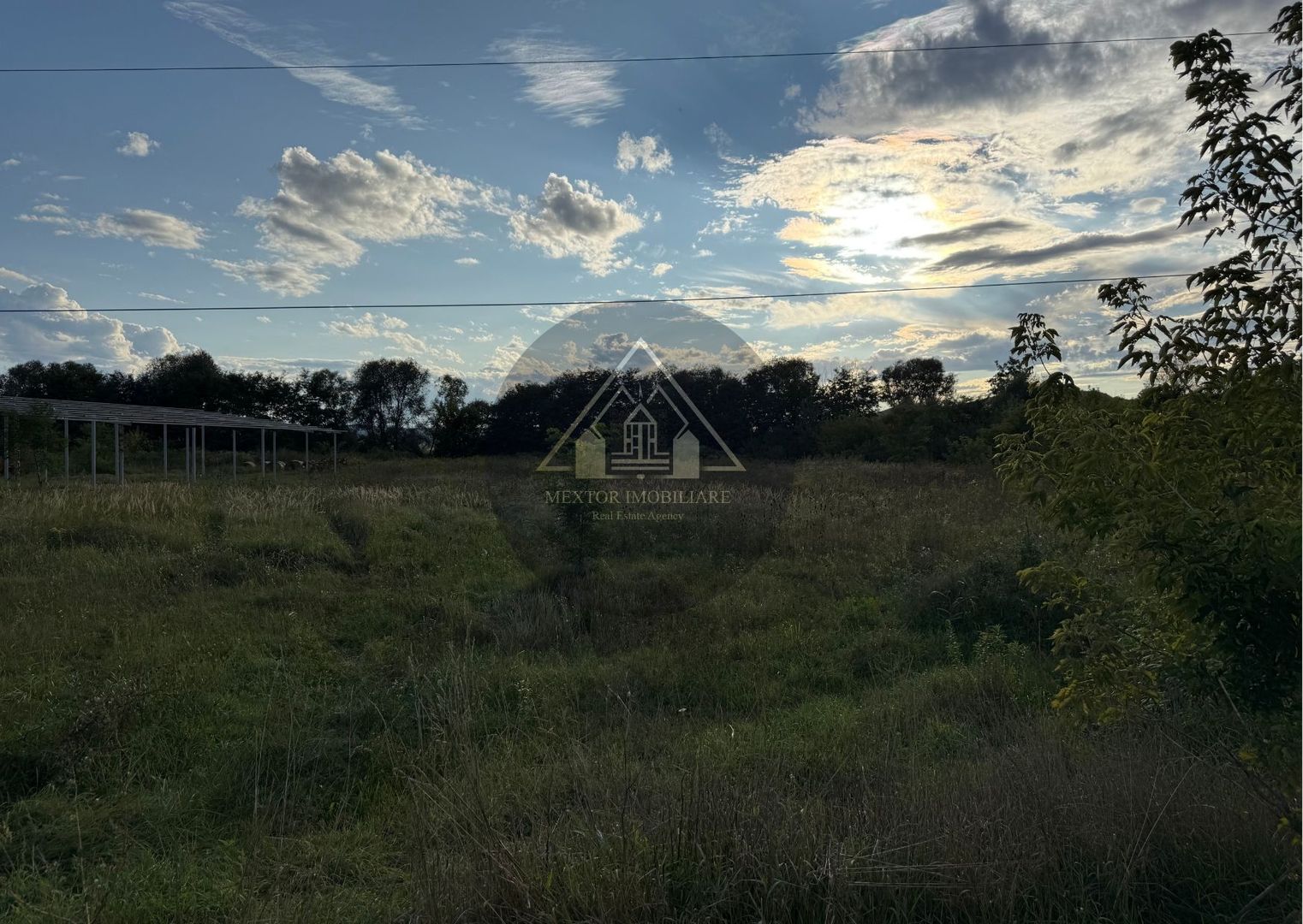 Teren extravilan Alma - Poză 3