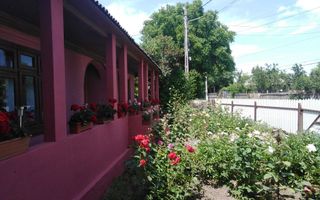 Casă cu 3 camere și teren 2100 mp, Trifești, județul Iași - Poză 2