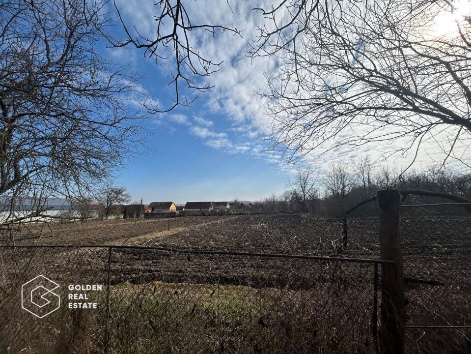 Casa traditionala cu teren generos in Odvos, județul Arad - Poză 20