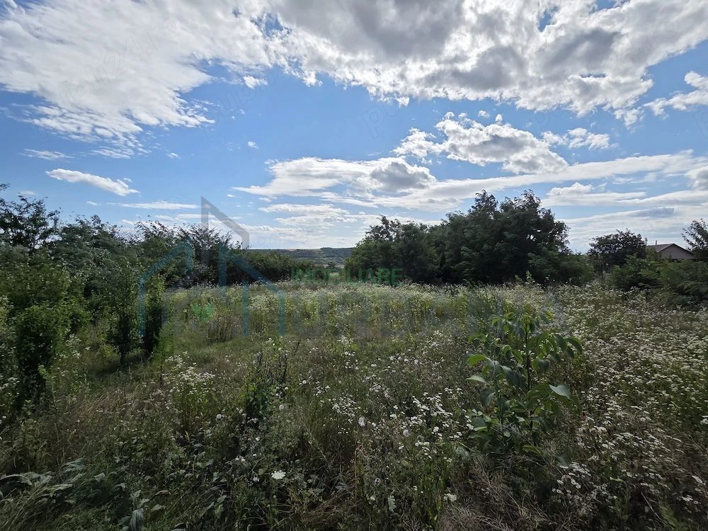 Teren intravilan 1.335 mp cu casă, comuna Erbiceni, județul Iași - Poză 4