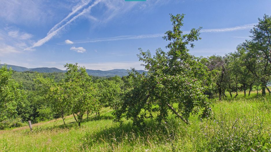 Casă de vacanță cu 2 corpuri si view în Dulcele - Poză 25