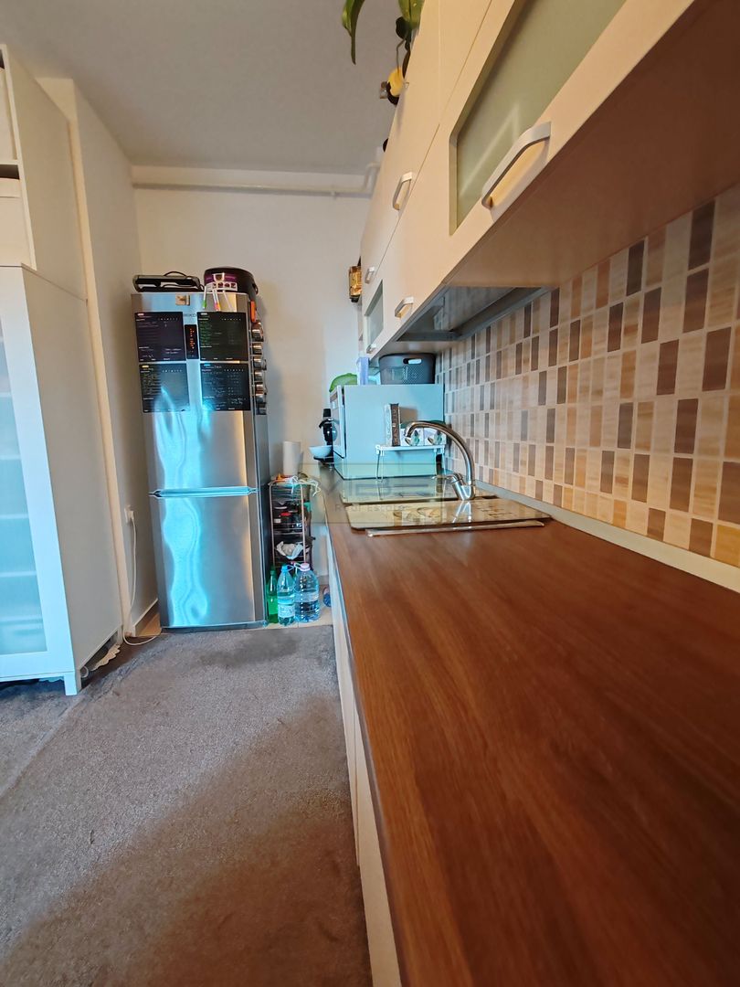 Copou - Parcul Copou /Universitate-2 camere și curte! - Poză 14