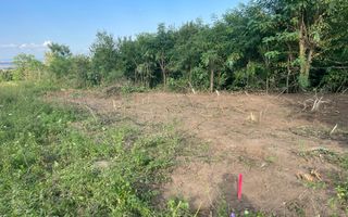 Oportunitate de Investiție Strategică | Teren Intravilan | Colonia Becas - Poză 10