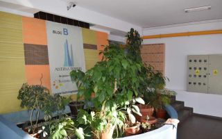 2 Camere decomandate, Gheorgheni,Modern, Zona Constantin Brancusi,BT - Poză 7