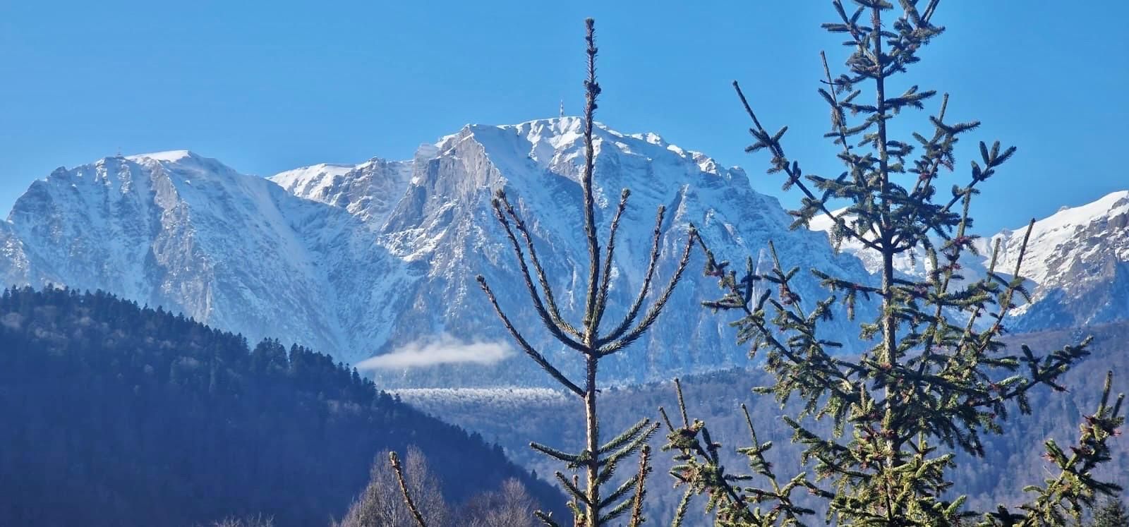 Casa de vacanta la liziera padurii cu vedere libera catre muntii Bucegi - Poză 15