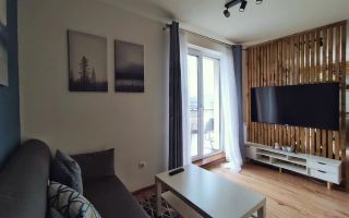 Apartament 2 camere de inchiriat, 47 mp cu terasa 21 mp, str Razoare Vivo - Poză 10