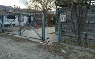 Teren intravilan cu hală și căsuță de vacanță, Vladiceni, Iași - Poză 3