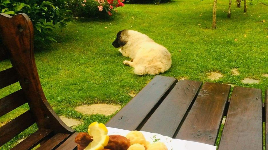 Vila individuala /proiect deosebit - Poză 23