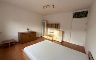 Chirie, apartament, 1 camera, 30 mp, Traian Lalescu Oradea. 250 E/lună