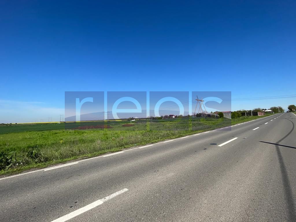 Teren Vadu Anei langa padure 1300 mp - Poză 4