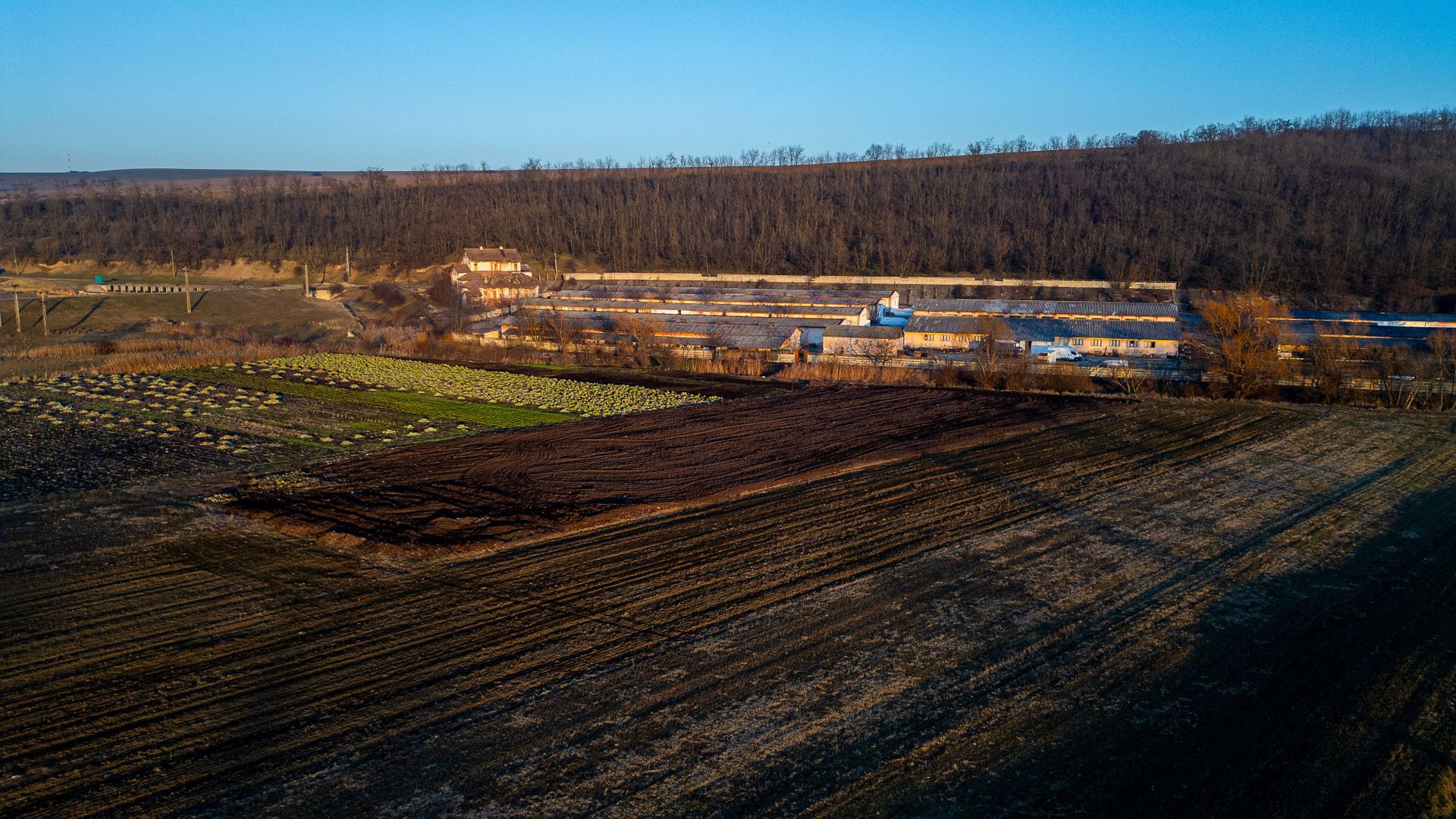 Fosta Ferma a Partidului de la Horgesti - de vanzare - Poză 9
