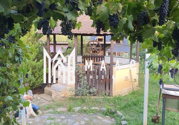 Teren Intravilan | 634 MP | Livada | Cisnadie - Poză 4