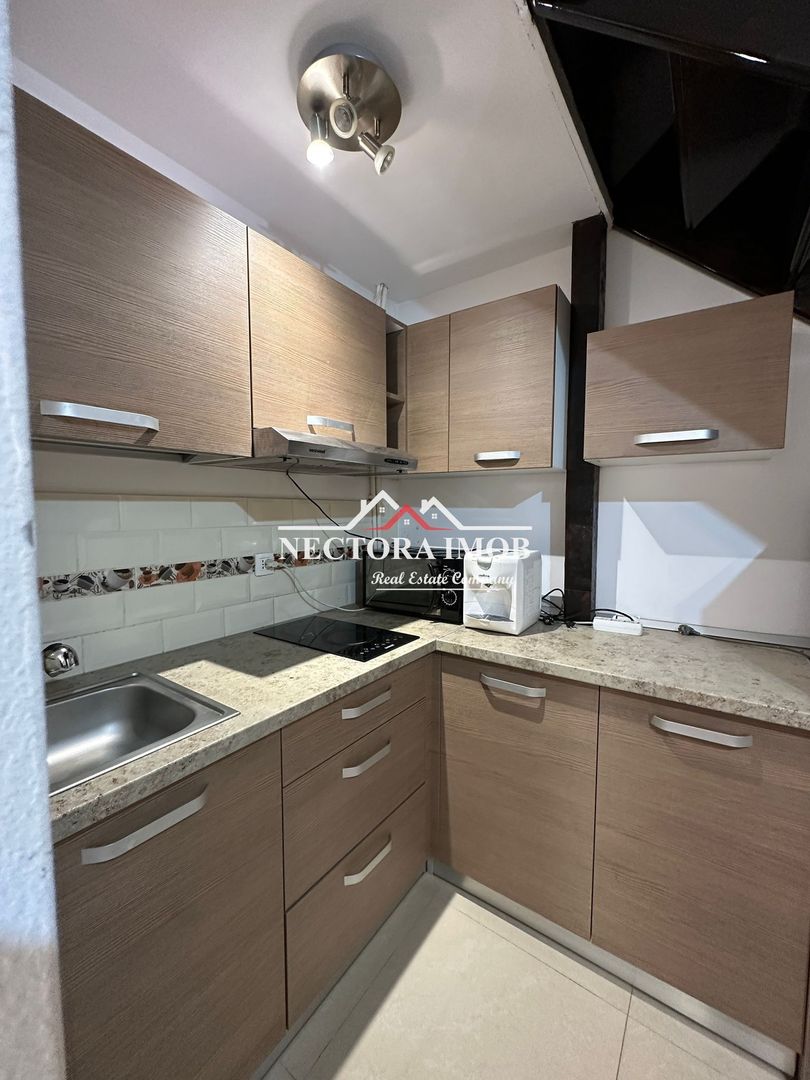 NECTORA IMOB-Apartament Ultracentral pe 2 niveluri, Str. Republicii - Poză 8