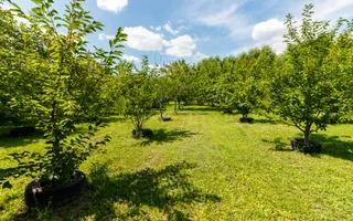 Casă de vânzare | PIPERA/ Teren 3300mp - Poză 24