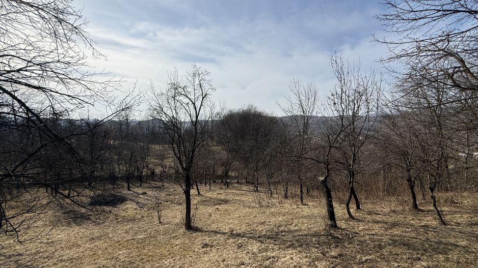 Teren intravilan 2788 mp deschidere 55 ml cu vedere panoramica ! - Poză 14