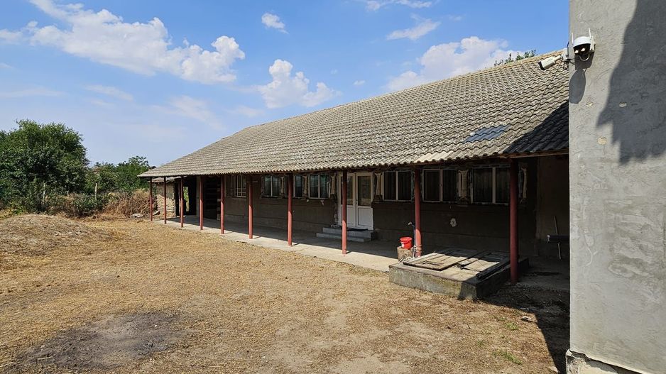 Casa Apele Vii - Poză 4