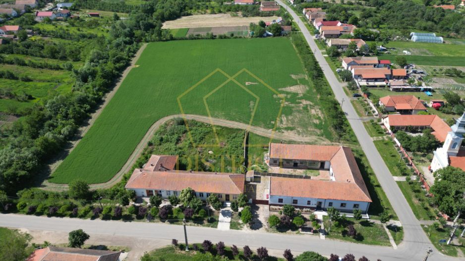 Casa cu istorie, teren de aproape 2 hectare si potențial rar | Petrovaselo - Poză 15