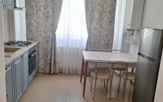 Apartament 2 camere de inchiriat, Valea Lupului, Iasi - Poză 2