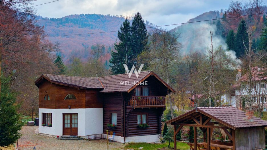 Cabana / Casa de vacanta pe Transfagarasan - Sibiu - Poză 1