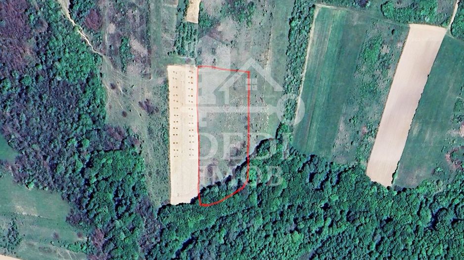 Teren 1 EURO/mp de vanzare in Tileagd-Balaia, Bihor - Poză 1