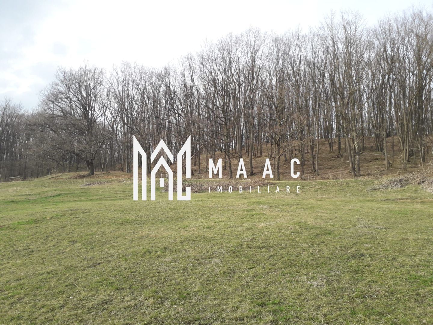 Teren Extravilan 4.572mp | Zonă liniștită | Sadu - Poză 9