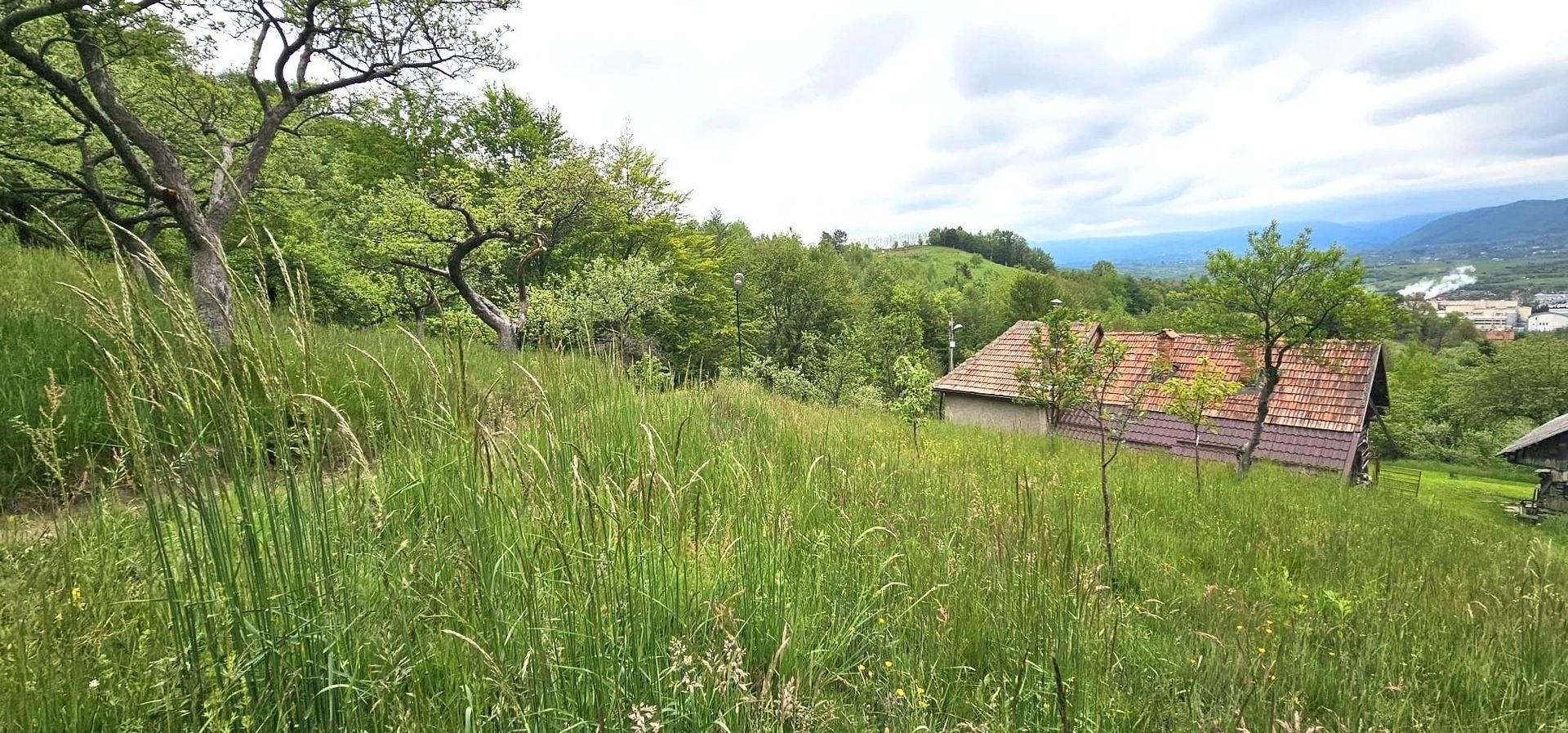 Domeniu Premium 1.7 Ha Intravilan Zărnești | Lizieră Pădure | Ideal Resort - Poză 6