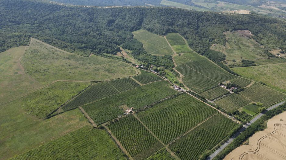 Vie Tradițională „Halta Lupilor” - Poză 31