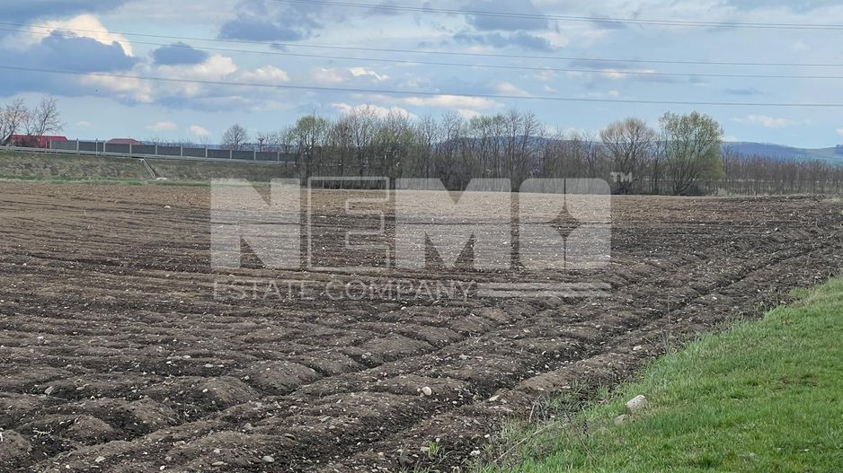 Teren Extravilan | 48 Ari - Poză 1