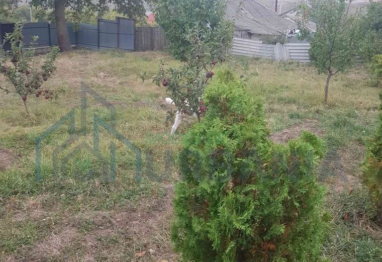 Teren intravilan de vânzare - 6200mp, pădure în apropiere - Poză 5