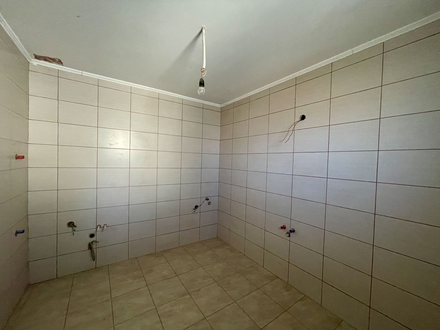 CASA RENOVATA + TEREN 3100 MP | CURTE SI GRADINA | FRATAUTII NOI - Poză 13