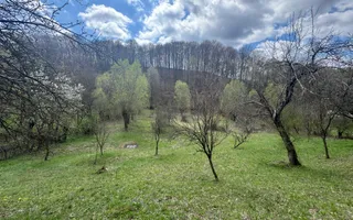 TEREN INTRAVILAN 4365 MP POENARII DE MUȘCEL  JUDEȚUL ARGES - Poză 15