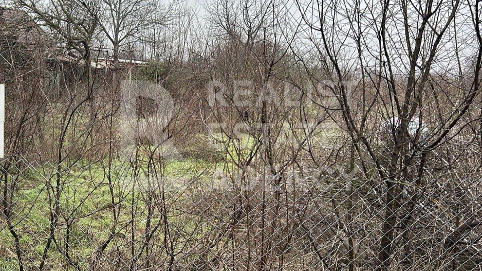 Teren intravilan de vânzare – 5.986 mp, Ciofliceni, Snagov (Ilfov) - Poză 2