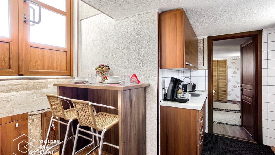 Apartament lux 1 camera la casa, centrala termica, loc parcare, Calea Romanilor - Poză 4