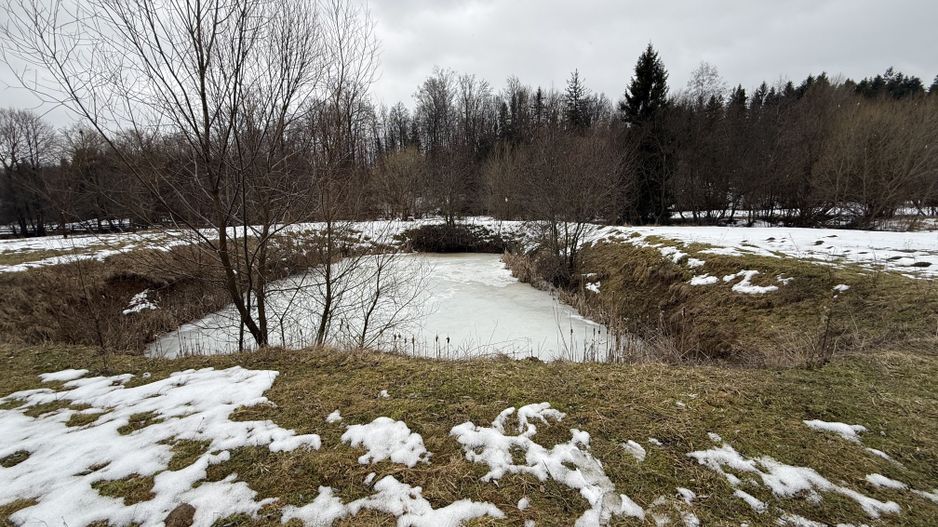 Teren extravilan | Horodnic De Sus | 3600MP - Poză 8